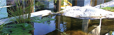 Slideshow Image 2